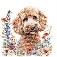 Animal Integration-DW 437